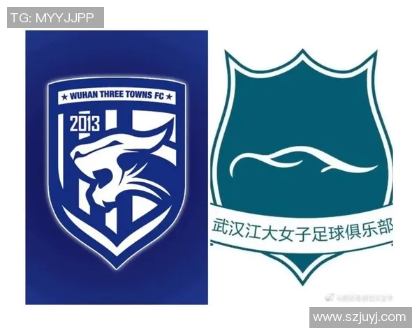 武汉足球队技术表现深度分析与数据解读探讨 武汉足球队技术表现深度分析与数据解读探讨